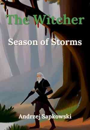 Buch Die Zeit der Verachtung (The Witcher. Season of Storms) auf Englisch