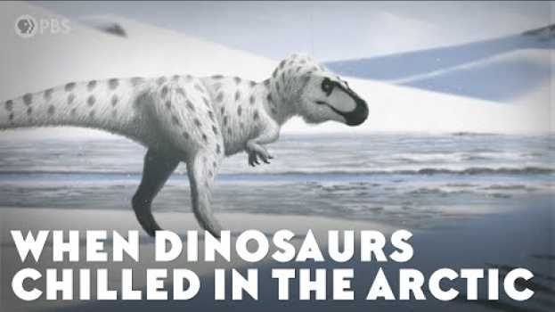 Video When Dinosaurs Chilled in the Arctic en Español