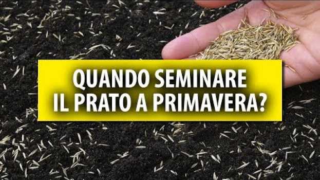 Video Quando Seminare il Prato a Primavera? La Luna influisce?  - IL METODO BESTPRATO in English