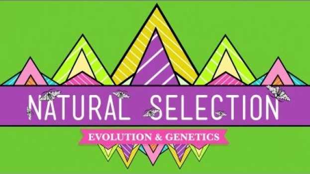 Video Natural Selection - Crash Course Biology #14 na Polish