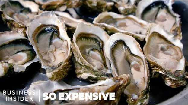 Video Why Oysters Are So Expensive | So Expensive auf Deutsch