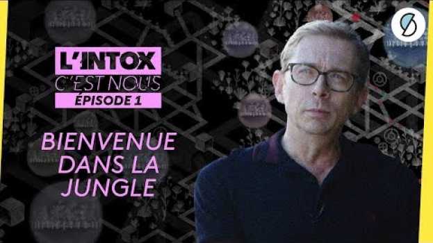 Video Pourquoi croit-on aux fake news ? - L'intox, c'est nous #1 in English