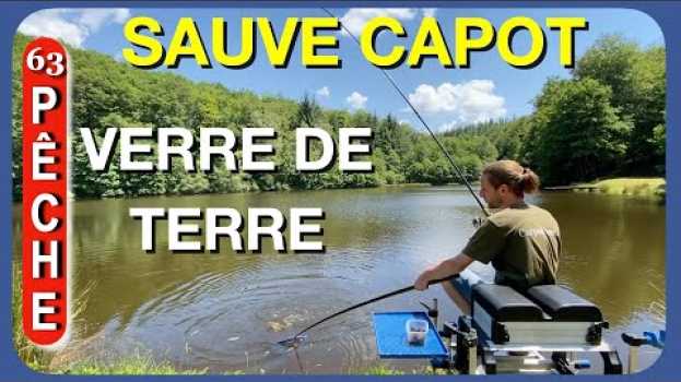 Video PECHE A L'ANGLAISE _ CARPES ASSURÉS  _ En pleine été Vers de terre et terreau Cfr 63 en Español