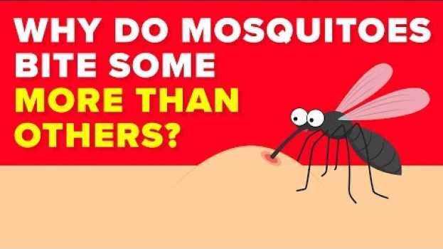 Video Scientists Finally Know Why Mosquitoes Bite Some People More Than Others - Mystery Revealed auf Deutsch