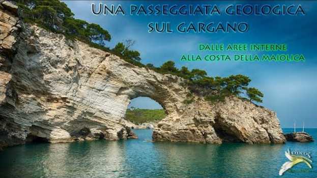 Video Geologia del Gargano: dalle aree interne alla costa sud na Polish