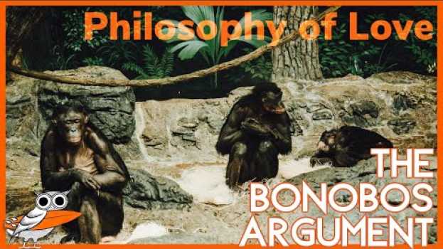 Video Should we do it like the Discovery Channel? The Bonobos Argument su italiano