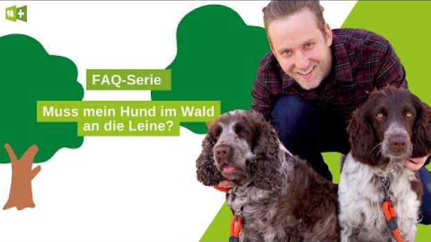 Video Muss ich meinen Hund im Wald an die Leine nehmen? en Español