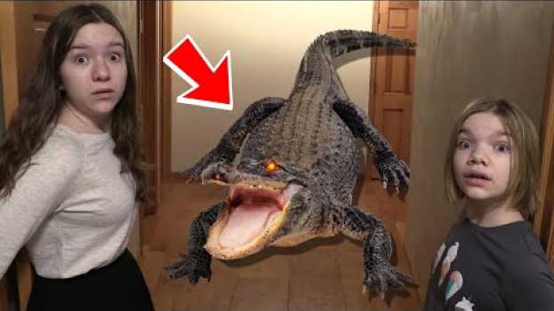 Video ALLIGATOR IN OUR BATHROOM! su italiano