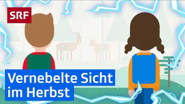 Video Was ist Nebel und wie entsteht er? | Erklärvideos für Kinder | SRF Kids – Kindervideos em Portuguese