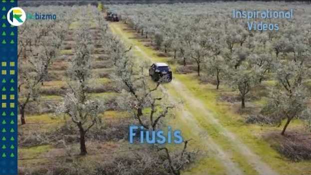 Video Clean energy that grows on trees - sustainable business inspiration auf Deutsch