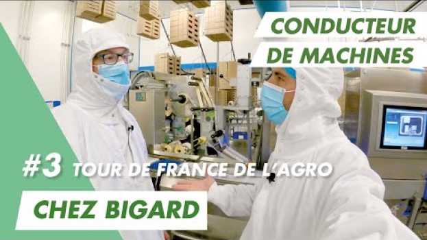 Video Je bosse chez Bigard pour vous préparer un bon steak haché in English